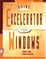 USING EXCELERATOR FOR WINDOWS