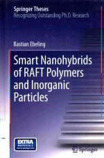 SMART NANOHYBRIDS OF RAFT POLYMERS AND INORGANIC PARTICLES