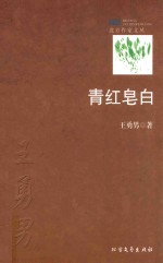 北方作家文丛  青红皂白