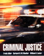 Criminal justice