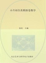 小升初全真模拟卷数学  最新版