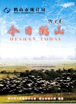 今日鹤山  2006