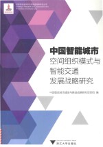 中国智能城市空间组织模式与智能交通发展战略研究