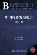 中国投资发展报告  2014