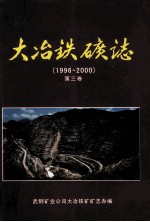 大冶铁矿志  1996-2000  第3卷