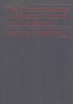 THE CHROMOSOMES IN HUMAN CANCER AND LEUKEMIA