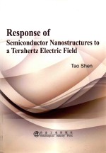 response of semiconductor nanostructures to a terahertz electric field