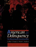 American delinquency : its meaning & construction