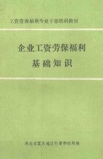 企业工资劳保福利基础知识