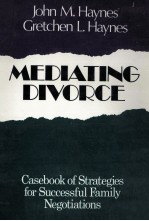 Mediating Divorce : Casebook of Strategies For Successful Family Negotiations