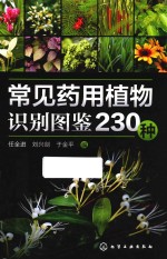 常见药用植物识别图鉴230种