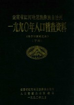 云南省红河哈尼族彝族自治州  一九九〇年人口普查资料（电子计算机汇总）  下