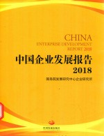 中国企业发展报告  2018版