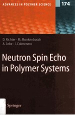 Neutron Spin Echo in Polymer Systems