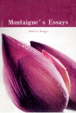 Montaigne`s essays