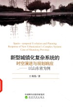 新型城镇化复杂系统的时空演进与规划响应  以山东省为例