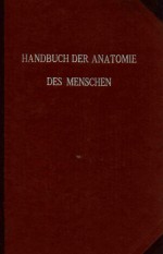 ANATOMIE DER THYMUSDRUSE