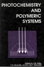 Photochemistry and Polymeric Systems