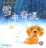 雪中奇遇