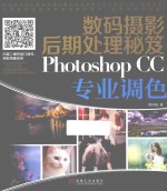 数码摄影后期处理秘笈  PHOTOSHOP CC专业调色