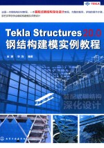 Tekla Structures 20.0钢结构建模实例教程