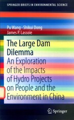 THE LARGE DAM DILEMMA