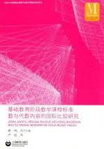 基础教育阶段数学课程标准数与代数内容的国际比较研究