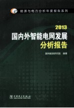 能源与电力分析年度报告系列 2013  国内外智能电网发展分析报告