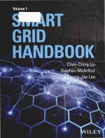 Smart grid handbook (Volume 1)