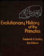 EVOLUTIONARY HISTORY OF THE PRIMATES