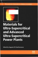 Materials for ultra-supercritical and advanced ultra-supercritical power plants