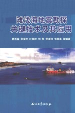 滩浅海地震勘探关键技术及其应用