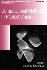 Computational Methods in Photochemistry