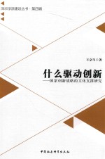 什么驱动创新  国家创新战略的文化支撑研究