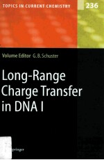 Long-Range Charge Transfer in DNA I