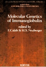 MOLECULAR GENETICS OF IMMUNOGLOBULIN