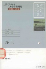 20世纪末文学作品精选  短篇小说卷  净土  中