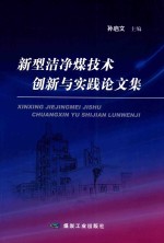 新型洁净煤技术创新与实践论文集