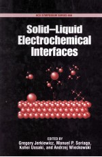 Solid-Liquid Electrochemical Interfaces