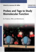 Probes and Tags to Study Biomolecular Function for Proteins