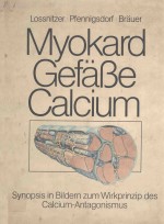 MYOKARD GEFABE CALCIUM