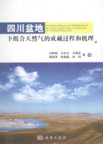 四川盆地下组合天然气的成藏过程和机理