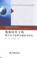 数据时代下的数字信号处理关键技术研究