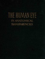 THE HUMAN EYE IN ANATOMICAL TRANSPARENCIES