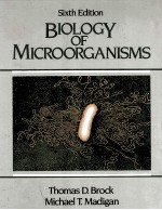 Biology of Microorganisms Sixth Edition