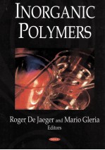 INORGANIC POLYMERS