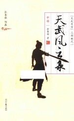 “天武奇传”三部曲  天武风云录  中