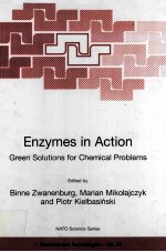 Enzymes in Action Green Solutions for Chemical Problems