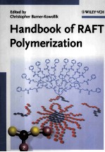 Handbook of RAFT Polymerization