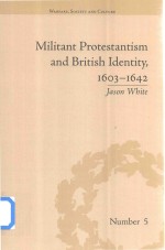 Militant Protestantism And British Identity